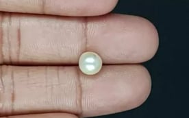 Keshi Pearl - 2.79 Carat Prime Quality SSP-8749