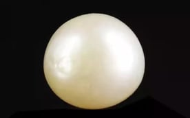Keshi Pearl - 2.79 Carat Prime Quality SSP-8749