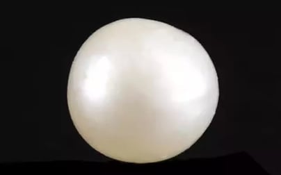 Keshi Pearl - 2.93 Carat Prime Quality SSP-8760