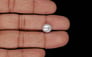 Keshi Pearl - 2.95 Carat Limited Quality SSP-9005
