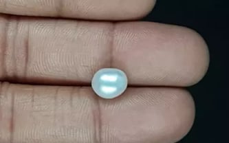 Keshi Pearl - 3.00 Carat Limited Quality SSP-8808