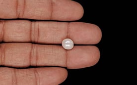 Keshi Pearl - 3.04 Carat Prime Quality SSP-9002
