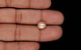 Keshi Pearl - 3.10 Carat Limited Quality SSP-9020