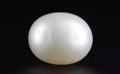 Keshi Pearl - 3.18 Carat Prime Quality SSP-8783