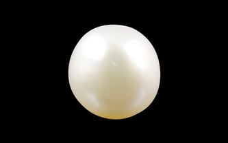 Shop Keshi Moti Online | 3.35 Carat Rare Quality Keshi Pearl Stone in India