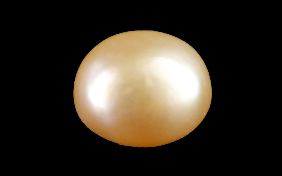 Keshi Pearl - 3.48 Carat Prime Quality SSP-9000
