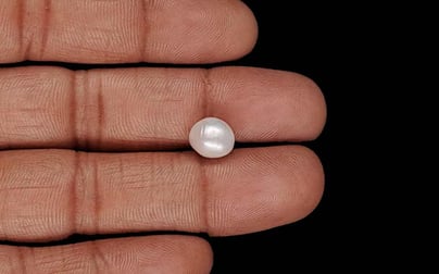 Keshi Pearl - 3.53 Carat Limited Quality SSP-9037