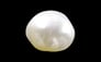 Keshi Pearl - 3.62 Carat Limited Quality SSP-8548