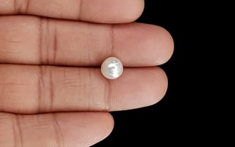 Keshi Pearl - 3.73 Carat Prime Quality SSP-8692