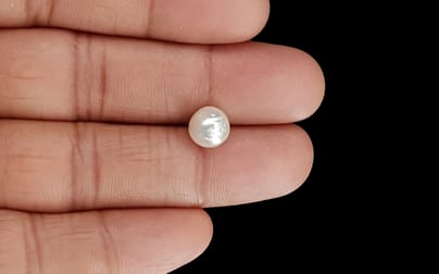 Keshi Pearl - 3.73 Carat Prime Quality SSP-8692
