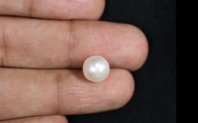 Keshi Pearl - 3.8 Carat Prime Quality SSP-8606