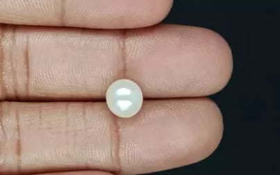 Keshi Pearl - 3.8 Carat Prime Quality SSP-8748