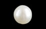 Keshi Pearl - 3.8 Carat Prime Quality SSP-8748