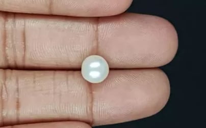 Keshi Pearl - 3.82 Carat Prime Quality SSP-8746