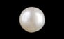 Keshi Pearl - 3.86 Carat Prime Quality SSP-9060