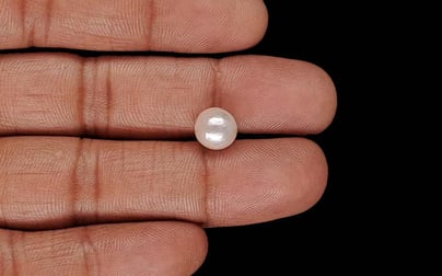 Keshi Pearl - 3.87 Carat Prime Quality SSP-9080