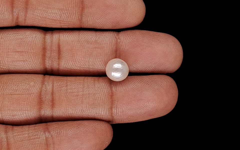 Keshi Pearl - 3.87 Carat Prime Quality SSP-9080
