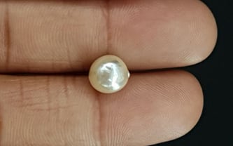 Keshi Pearl - 3.91 Carat Prime Quality SSP-8643
