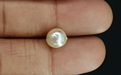 Keshi Pearl - 3.91 Carat Prime Quality SSP-8643