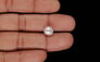 Keshi Pearl - 3.95 Carat Prime Quality SSP-9065
