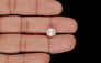 Keshi Pearl - 4.00 Carat Limited Quality SSP-9089