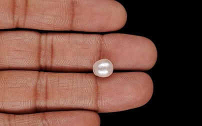 Keshi Pearl - 4.00 Carat Prime Quality SSP-9073