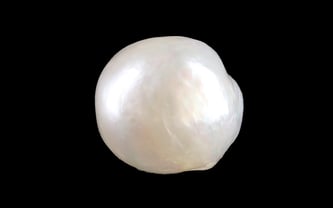 Keshi Pearl - 4.00 Carat Prime Quality SSP-9073