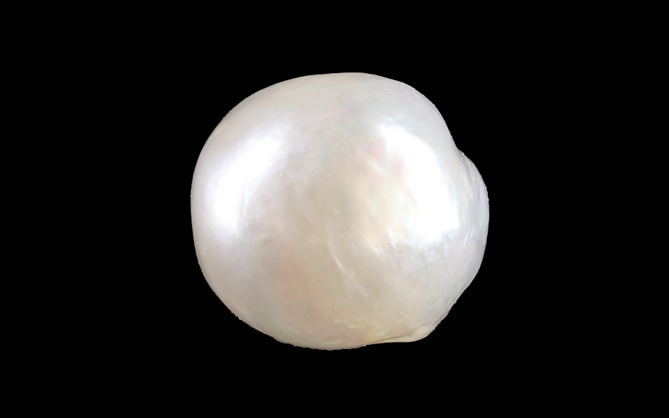 Keshi Pearl - 4.00 Carat Prime Quality SSP-9073