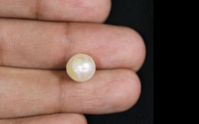 Keshi Pearl - 4.11 Carat Limited Quality SSP-8611
