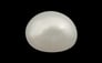Keshi Pearl - 4.12 Carat Prime Quality SSP-8533