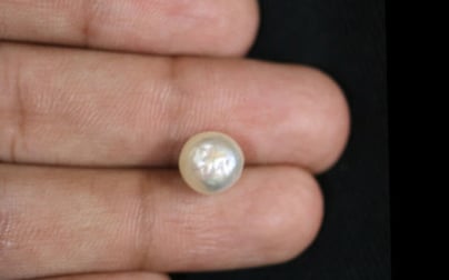 Keshi Pearl - 4.17 Carat Limited Quality SSP-8612