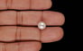 Keshi Pearl - 4.33 Carat Prime Quality SSP-9070