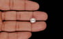 Keshi Pearl - 4.34 Carat Limited Quality SSP-9084