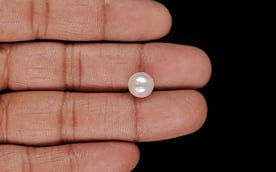 Keshi Pearl - 4.44 Carat Prime Quality SSP-9085