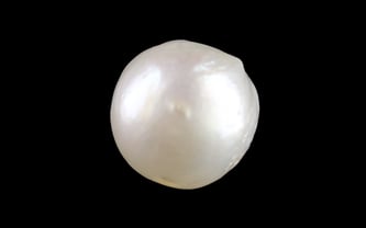 Keshi Pearl - 4.45 Carat Prime Quality SSP-9086