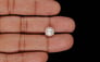 Keshi Pearl - 4.46 Carat Limited Quality SSP-9064