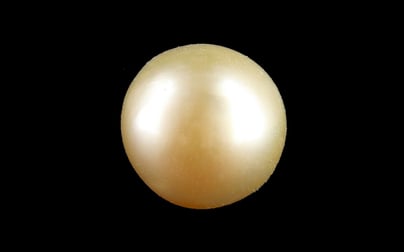 Keshi Pearl - 4.49 Carat Prime Quality SSP-8998