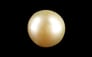 Keshi Pearl - 4.49 Carat Prime Quality SSP-8998