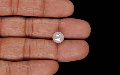 Keshi Pearl - 4.60 Carat Prime Quality SSP-9079