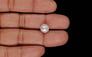 Keshi Pearl - 4.60 Carat Prime Quality SSP-9079