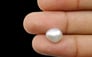Keshi Pearl - 4.63 Carat Prime Quality SSP-8538