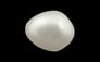 Keshi Pearl - 4.63 Carat Prime Quality SSP-8538