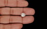 Keshi Pearl - 4.66 Carat Prime Quality SSP-9075