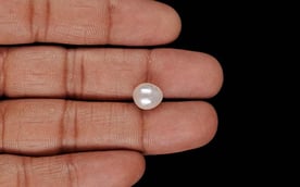Keshi Pearl - 4.66 Carat Prime Quality SSP-9075
