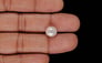 Keshi Pearl - 4.70 Carat Limited Quality SSP-9058