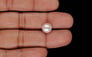 Keshi Pearl - 4.80 Carat Prime Quality SSP-9071