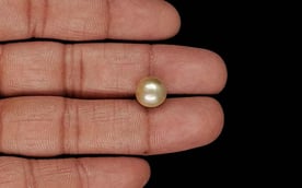 Keshi Pearl - 4.85 Carat Prime Quality SSP-9023