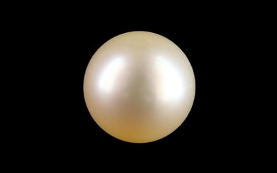 Keshi Pearl - 5.01 Carat Limited Quality SSP-9008