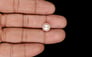 Keshi Pearl - 5.03 Carat Limited Quality SSP-8943