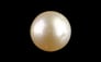 Keshi Pearl - 5.28 Carat Limited Quality SSP-9036